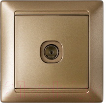 Розетка Bylectrica Стиль ТР-042 - фото