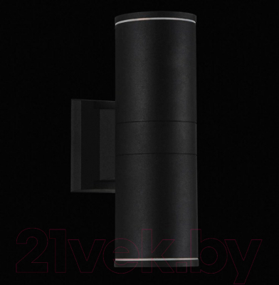 Бра уличное ST Luce Tubo SL561.401.02