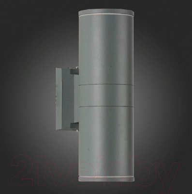 Бра уличное ST Luce Tubo SL561.701.02