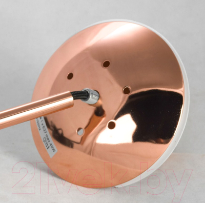 Потолочный светильник Lussole Lgo Strawberry GRLSP-8212