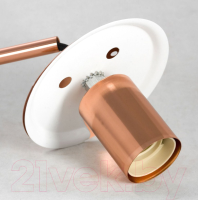 Потолочный светильник Lussole Lgo Strawberry GRLSP-8212