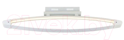 Потолочный светильник ST Luce Orione SL920.102.01 - фото