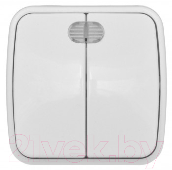 Выключатель EKF Basic Минск ОП 2кл 10А с индикатором / EGV10-123-10 - фото