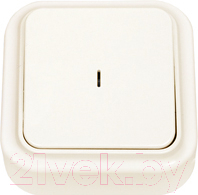 Выключатель Bylectrica Пралеска А1 10-214 - фото