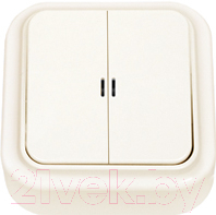 Выключатель Bylectrica Пралеска А5 10-215 - фото