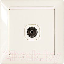 Розетка Bylectrica Стиль ТР-042 - фото