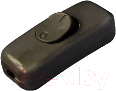 Выключатель Bylectrica ВШ 21 6-002 - фото