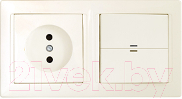 Блок выключатель+розетка Bylectrica Стиль 2В-РЦ-699 - фото