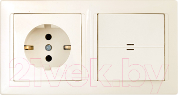 Блок выключатель+розетка Bylectrica Стиль 2В-РЦ-703 - фото