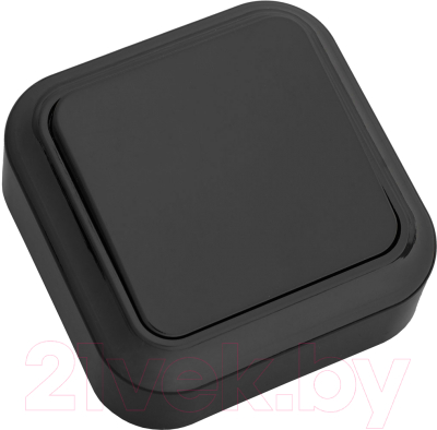 Выключатель Bylectrica Пралеска А1 6-131 - фото