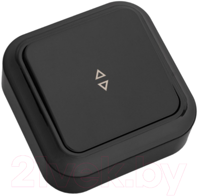 Выключатель Bylectrica Пралеска А6 10-147 - фото