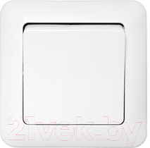 Выключатель Bylectrica Паритет С1 10-781 - фото