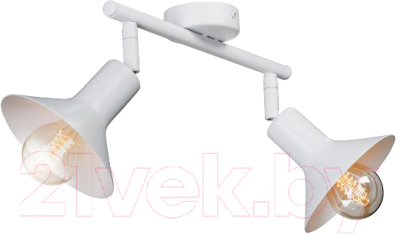 Потолочный светильник Vitaluce V4807-0/2PL - фото