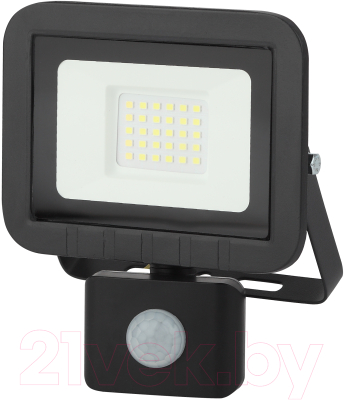 Прожектор ЭРА LPR-041-2-65K-030 / Б0043586 - фото