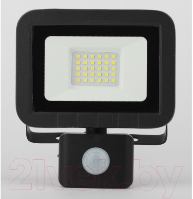 Прожектор ЭРА LPR-041-2-65K-030 / Б0043586