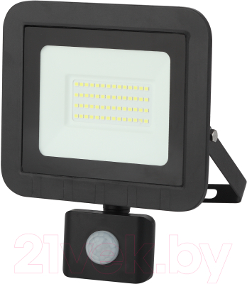 Прожектор ЭРА LPR-041-2-65K-050 / Б0043587 - фото