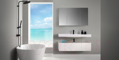 Шкаф с зеркалом для ванной Belux Триумф ВШ100