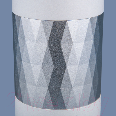 Точечный светильник Elektrostandard DLN110 GU10