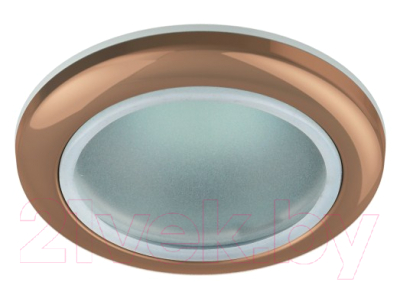 Точечный светильник ЭРА WR1 SC / C0043844 - фото