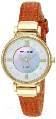 Часы наручные женские Anne Klein AK/3660MPHY - фото