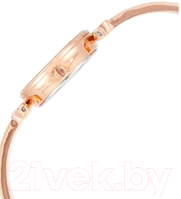 Часы наручные женские Anne Klein AK/1980BMRG