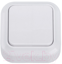 Выключатель Bylectrica Вариант А1 6-2111 - фото