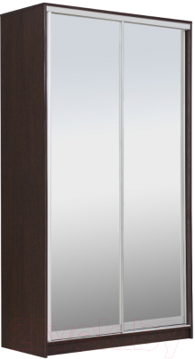 Шкаф Рэйгрупп 120450 VVX Elgon РГ-06.04 - фото