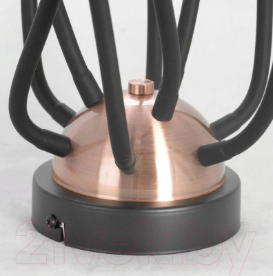 Люстра Lussole Loft Regina GRLSP-8247