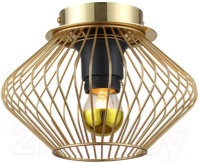 Потолочный светильник Lussole Loft Brooks GRLSP-8248 - фото