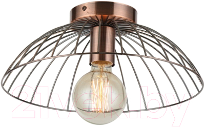 Потолочный светильник Lussole Loft Brooks GRLSP-8249 - фото