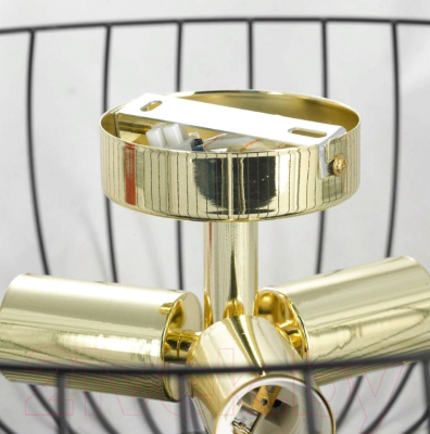 Люстра Lussole Loft Brooks GRLSP-8251