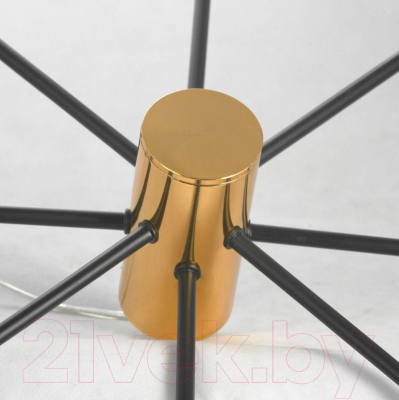 Люстра Lussole GRLSP-8252