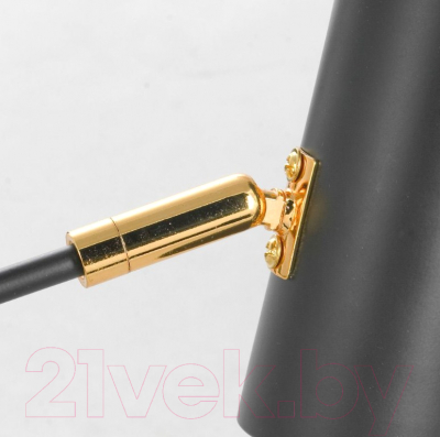 Люстра Lussole GRLSP-8252