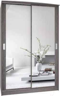 Шкаф Кортекс-мебель Лагуна ШК02-02 - фото