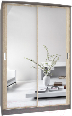 Шкаф Кортекс-мебель Лагуна ШК02-02 - фото