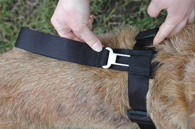 Ремень безопасности для собак Halti Clix CarSafe LC03 (L, черный)