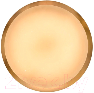 Потолочный светильник General Lighting Saturn GSMCL-066-Smart-96 / 800307