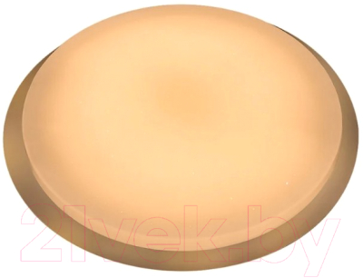 Потолочный светильник General Lighting Saturn GSMCL-066-Smart-96 / 800307