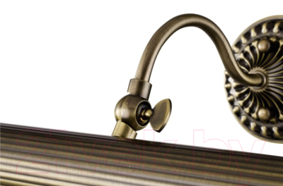 Подсветка для картин и зеркал Maytoni Renoir PIC118-22-R