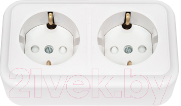 Розетка Bylectrica Пралеска РА16-274 - фото