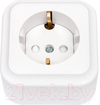 Розетка Bylectrica Пралеска РА16-280 - фото