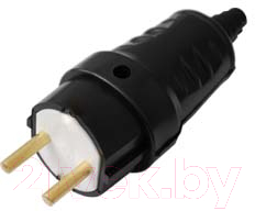 Вилка штепсельная Bylectrica В6-387 - фото