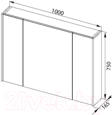 Шкаф с зеркалом для ванной Aquanet Латина 100 / 179636