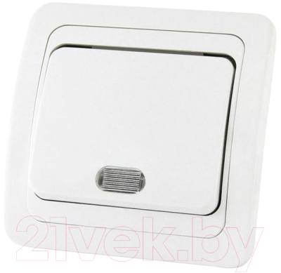 Выключатель TDM Валдай SQ1804-0004 - фото