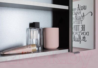 Шкаф с зеркалом для ванной Aquanet Порто 70 / 241748