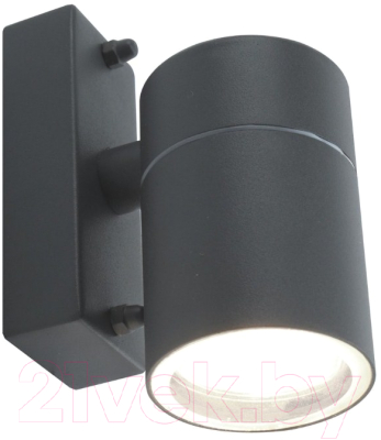 Бра уличное Arte Lamp Mistero A3302AL-1GY - фото