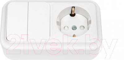 Блок выключатель+розетка Bylectrica Пралеска 2В-РЦ-579 - фото
