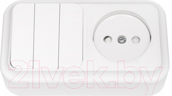 Блок выключатель+розетка Bylectrica Пралеска 3В-РЦ-575 - фото