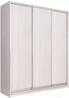 Шкаф Рэйгрупп 203450 YYX Elgon РГ-08.03 - фото