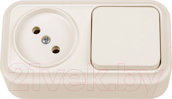 Блок выключатель+розетка Bylectrica Вариант В-РЦ-7111 - фото